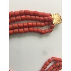 Bloedkoraal (koraal coral )met verguld gouden slotje