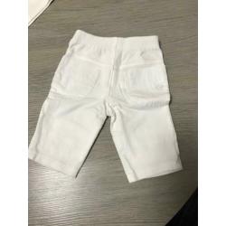 Zomerset maat 62 merk Gymp