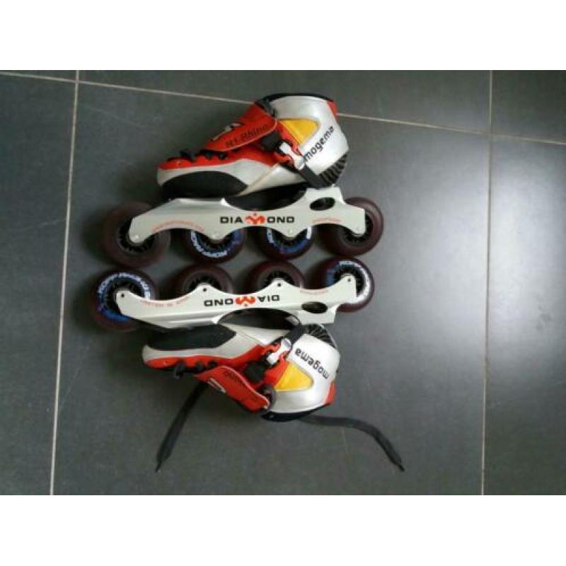 Skeelers mt 36