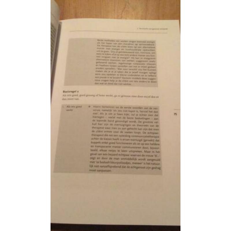 Simpel (oplossingsgericht werken) Cauffman