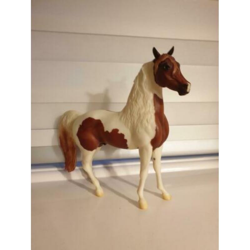 Breyer Chili