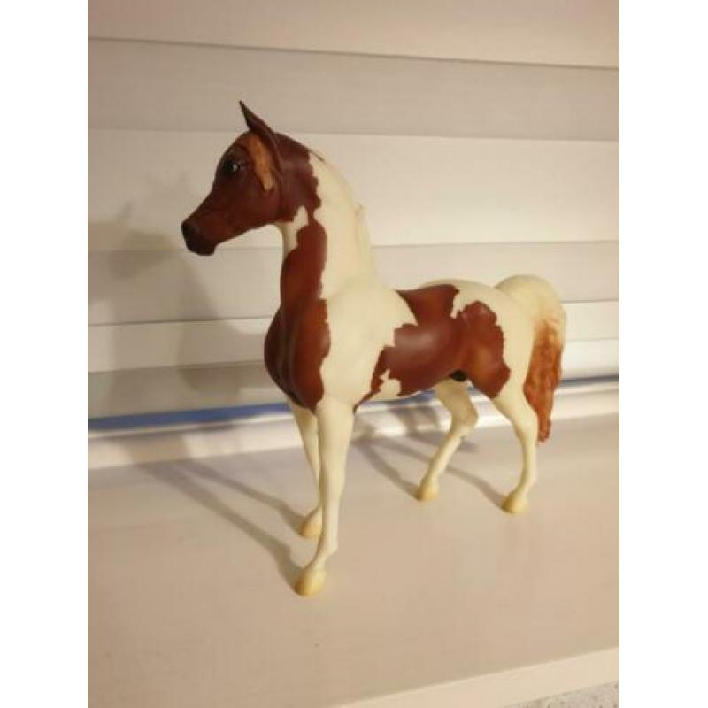 Breyer Chili