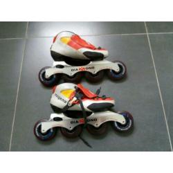 Skeelers mt 36