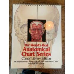 Anatomische anatomische kaart