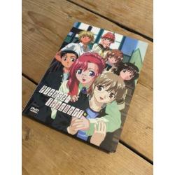 Please Teacher - Anime DVD box in uitstekende conditie