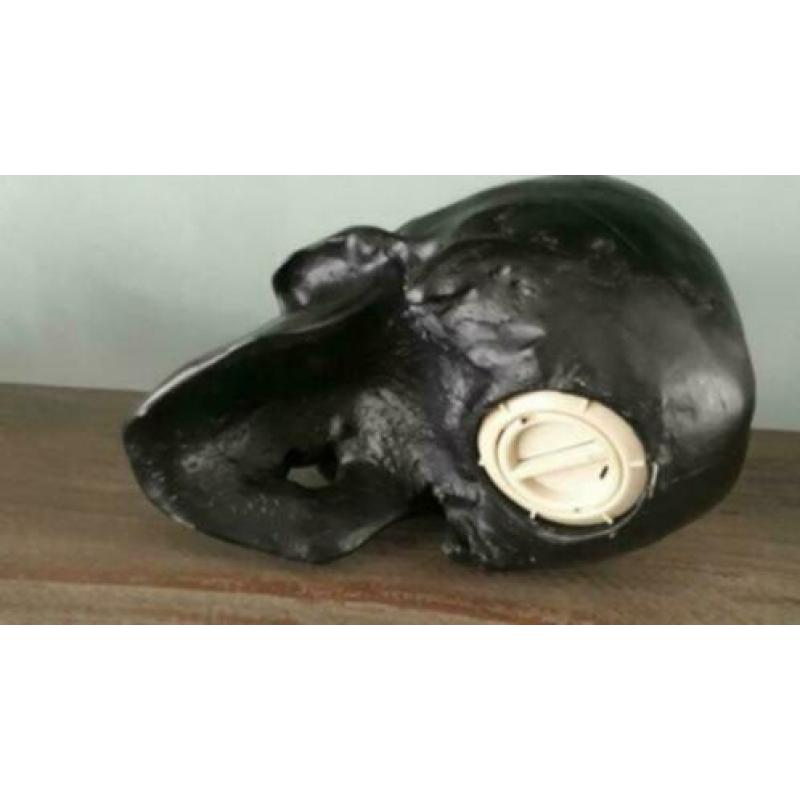 Skull - schedel spaarpot