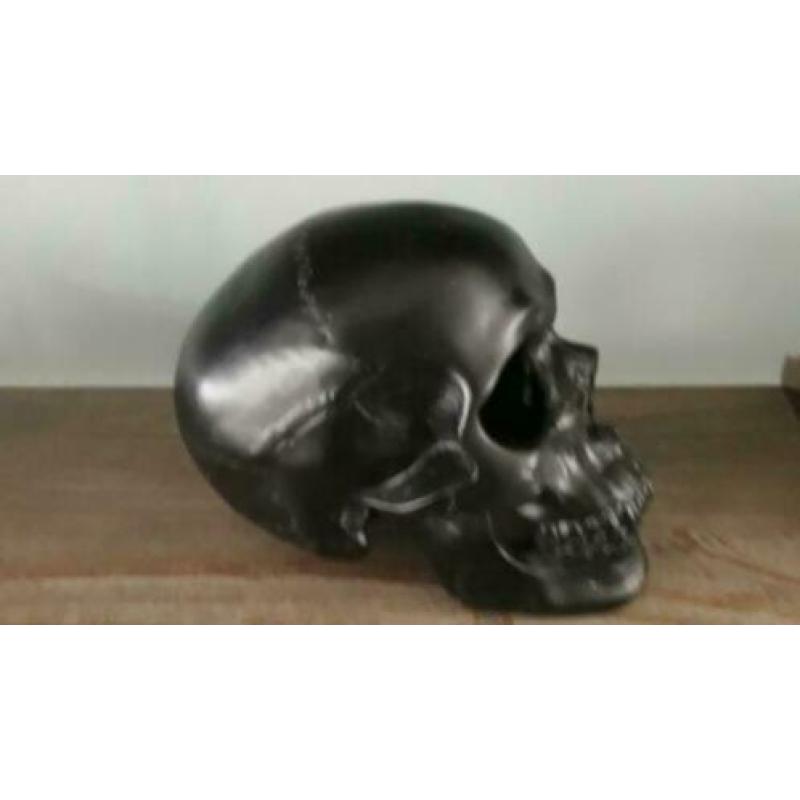 Skull - schedel spaarpot