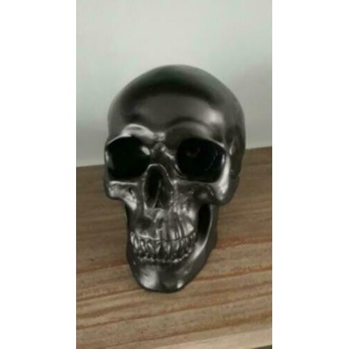 Skull - schedel spaarpot