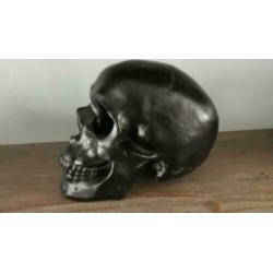 Skull - schedel spaarpot