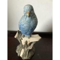 Mooi porselein vogel beeld Parkiet 16 cm H