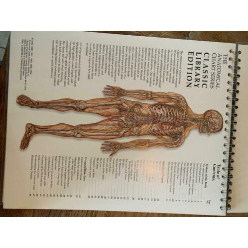 Anatomische anatomische kaart