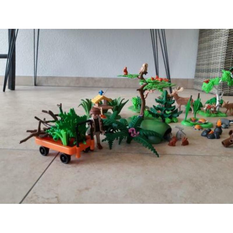 Bos vol dieren en andere attributen