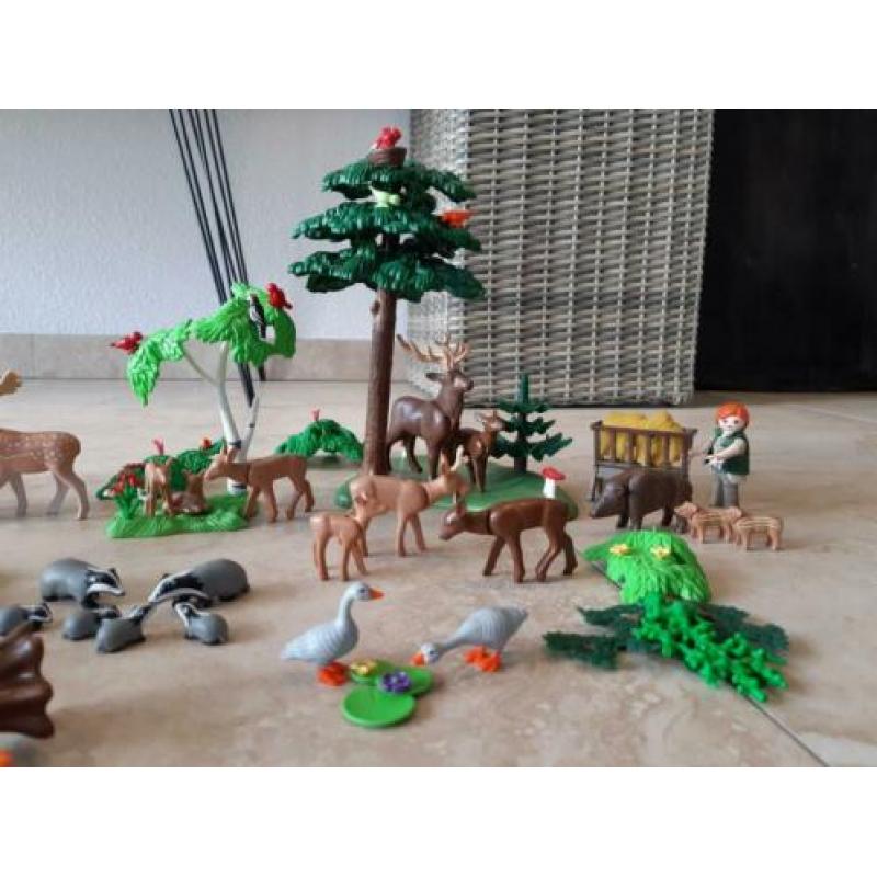 Bos vol dieren en andere attributen