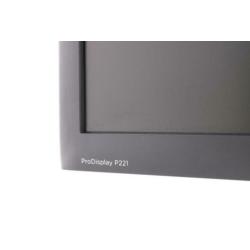 Zeer Nette HP Pro Display P221 LED Backlit monitor 22 Inch