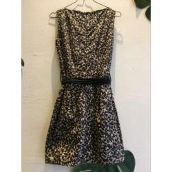 Jurkje panter leopard aangesloten, zgan, S/36
