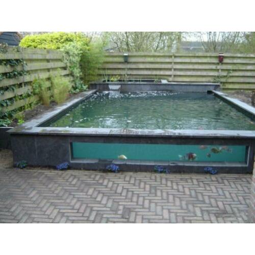 vijverrand Chinees hardsteen 12 cm breed gezoet / facet