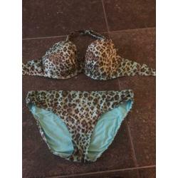 Prima-donna bikini