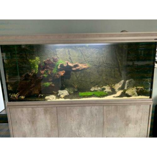 Aquarium aquatlantis fusion 420 liter BetonLook top aquarium