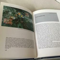 Moderne Schilderkunst - Herbert Read