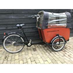 Nette babboe big bakfiets