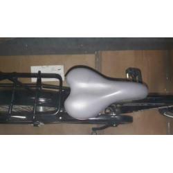 alpina yabber 20 inch