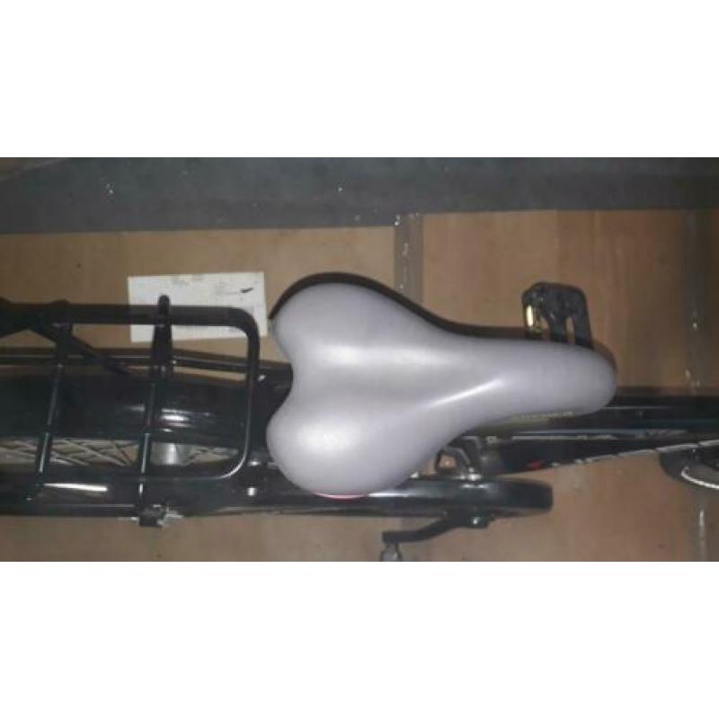 alpina yabber 20 inch