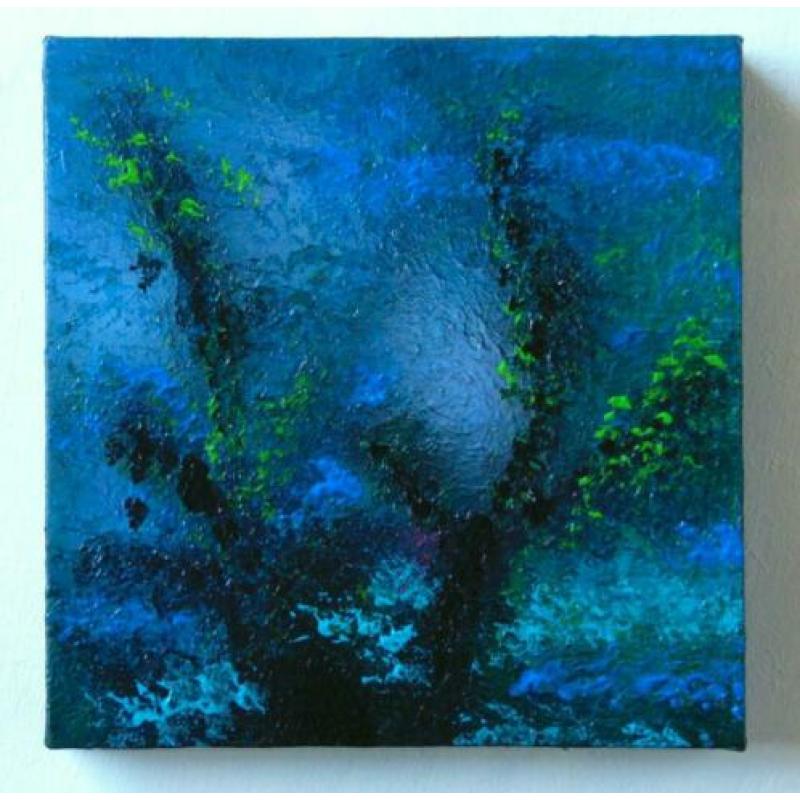 Plant in blauw water, schaduwen en licht onderwater. Kalm.