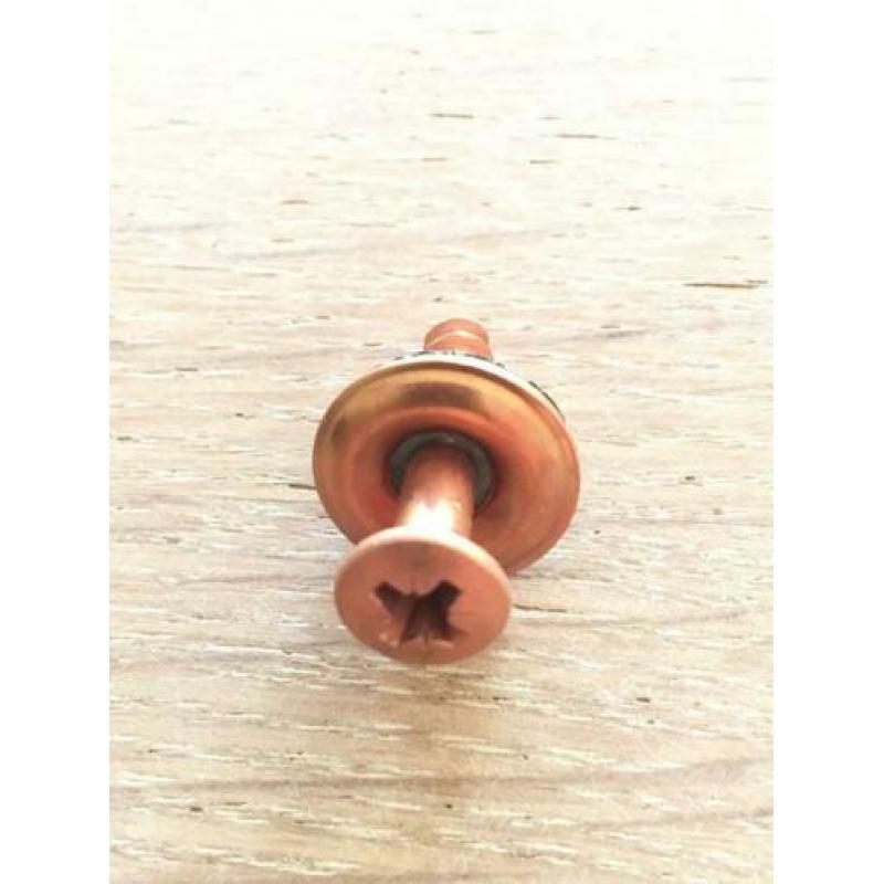 ROODKOPEREN SCHROEF MET ROZET ( 2,5 cm lang )