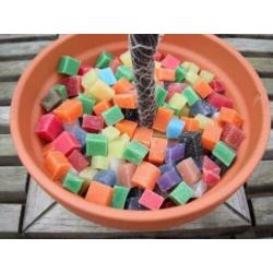Tuin kaarsen maken in Terracotta schaal Ø 15 cm