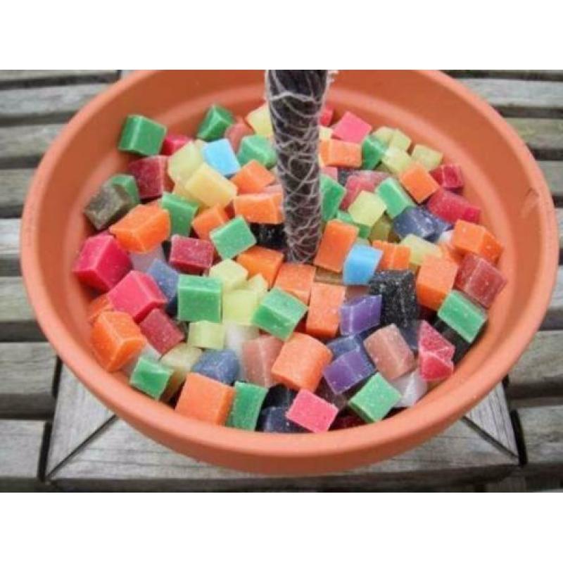 Tuin kaarsen maken in Terracotta schaal Ø 15 cm