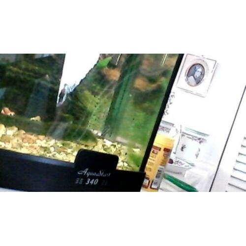 aquarium