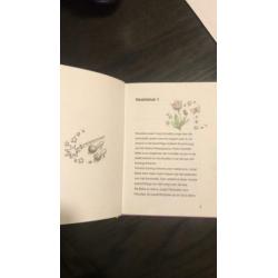 Leesboek 6+ hier komt ponyfee!