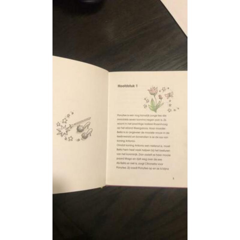 Leesboek 6+ hier komt ponyfee!