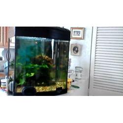 aquarium