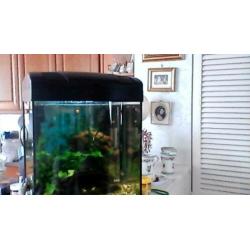 aquarium
