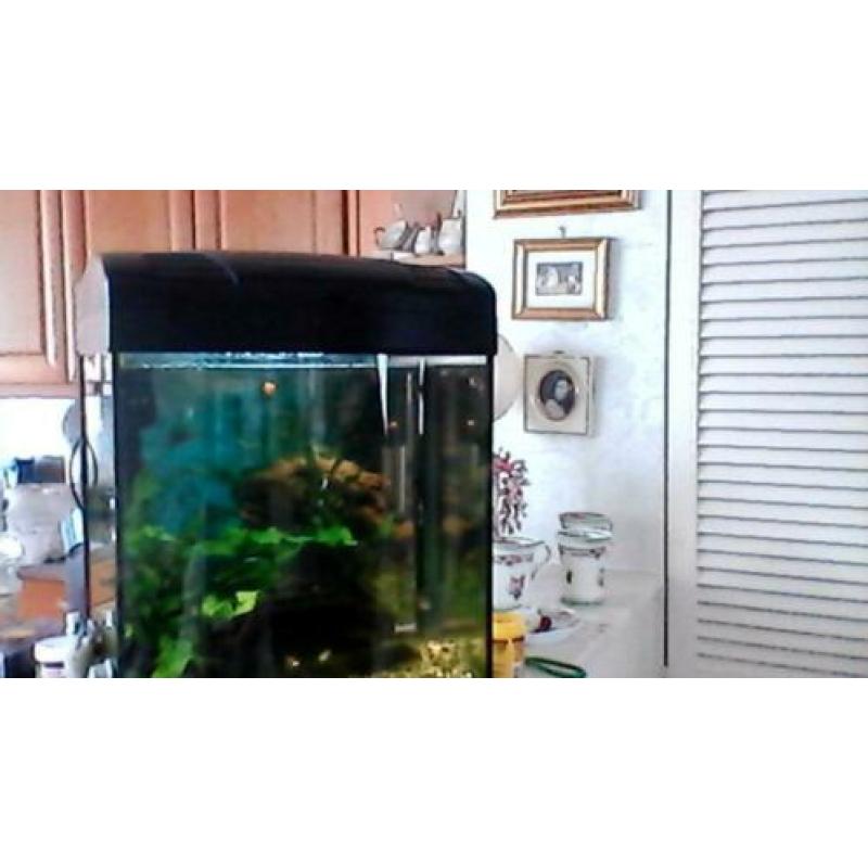 aquarium