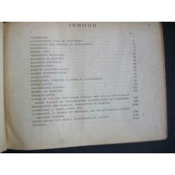 Flora Nederland 1920