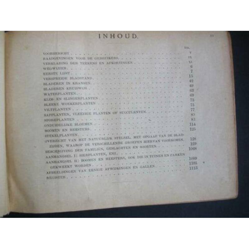 Flora Nederland 1920