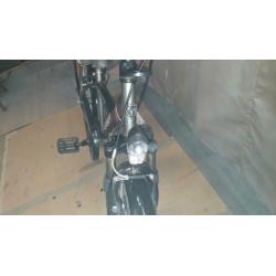 alpina yabber 20 inch