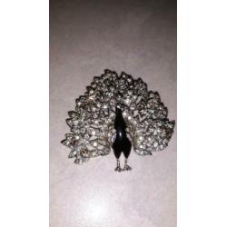 Mooie broche - pauw