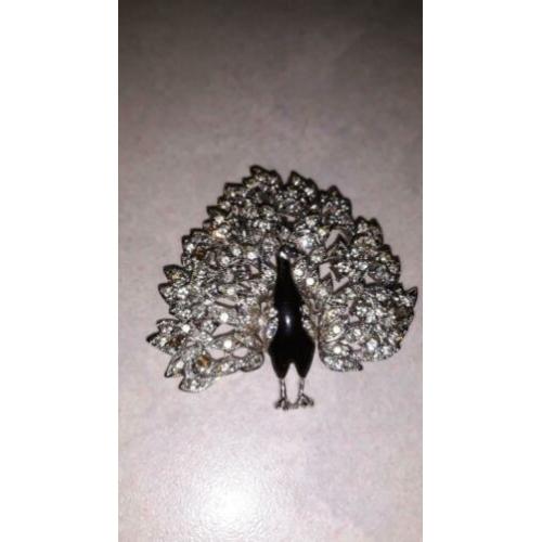 Mooie broche - pauw