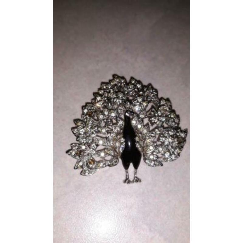 Mooie broche - pauw