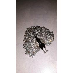 Mooie broche - pauw
