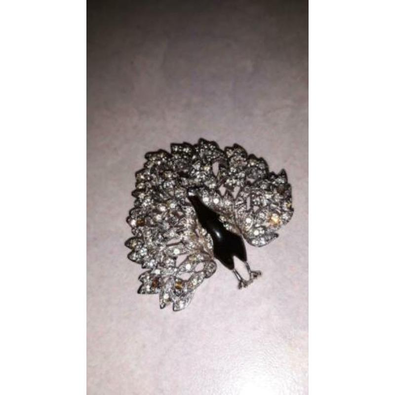 Mooie broche - pauw