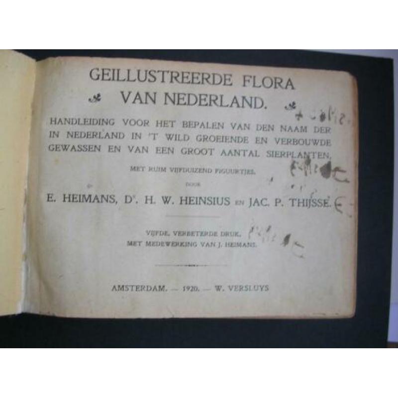 Flora Nederland 1920