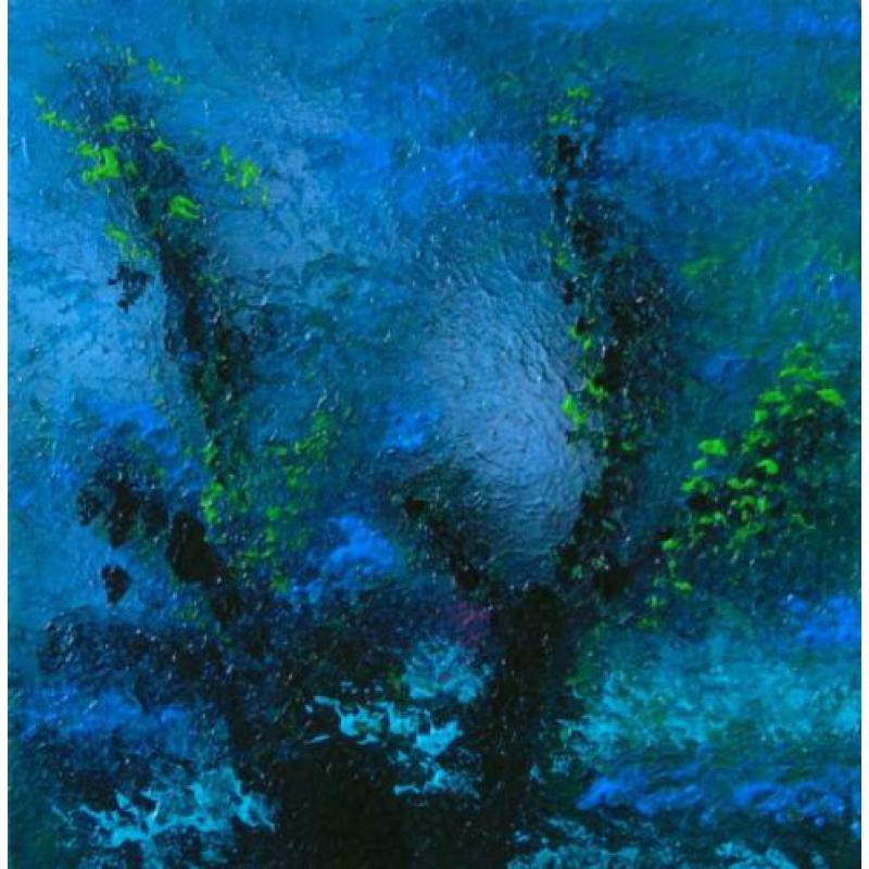 Plant in blauw water, schaduwen en licht onderwater. Kalm.