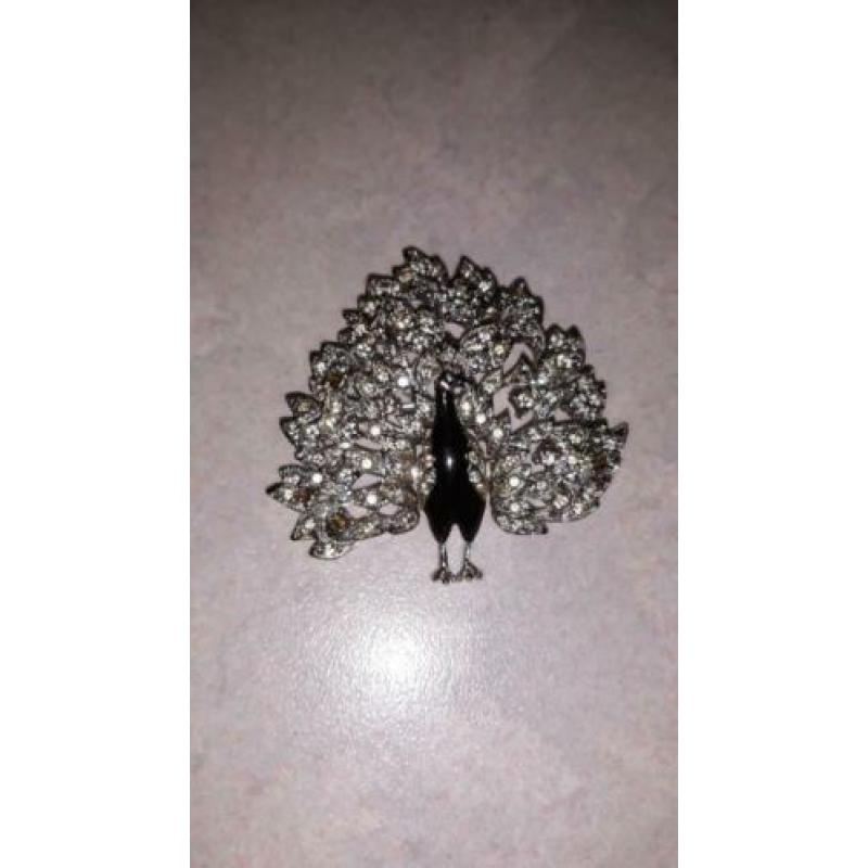 Mooie broche - pauw