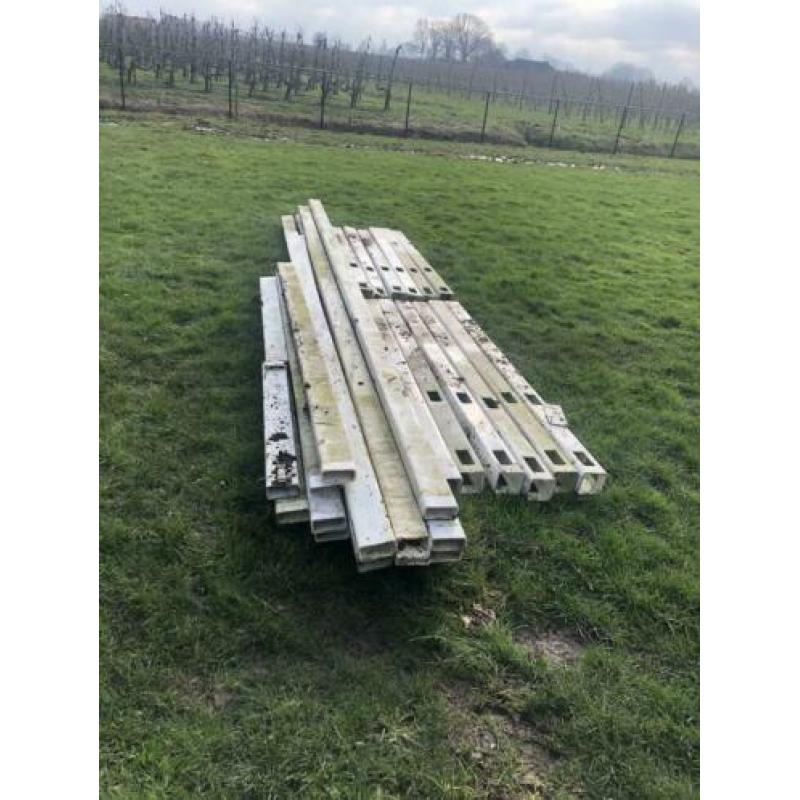 Paardenhek ong. 50 meter kunststof