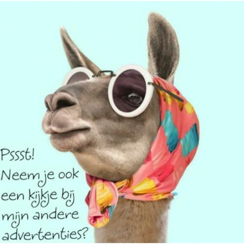Nieuw! Jurkje zwart, kant. Maat 44
