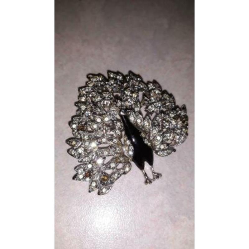 Mooie broche - pauw